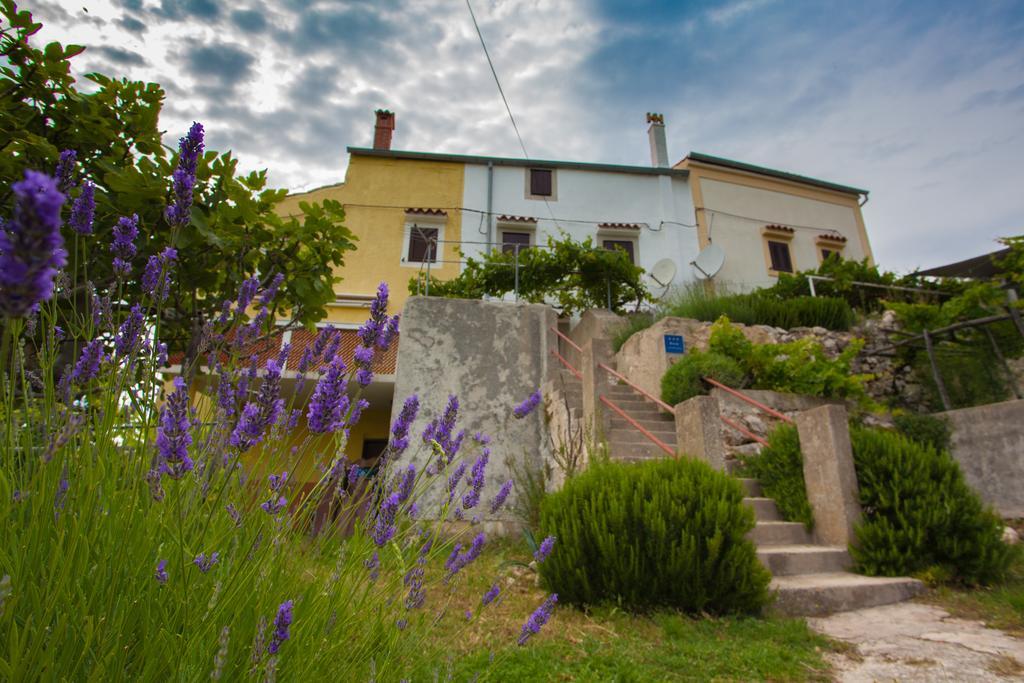 Vidovici Martinscica (Cres)
